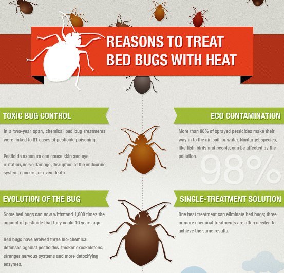 Aboutfight and kill bed bugs